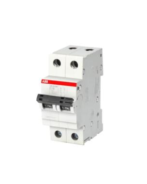 ABB SB200 Two Pole 2P D Curve High Performance MCB - 10 kA IP20