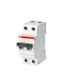 ABB SB200 Two Pole 2P D Curve High Performance MCB - 10 kA IP20