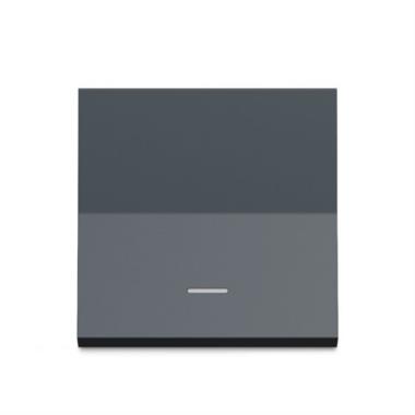 20A DP Switch With Indicator grey